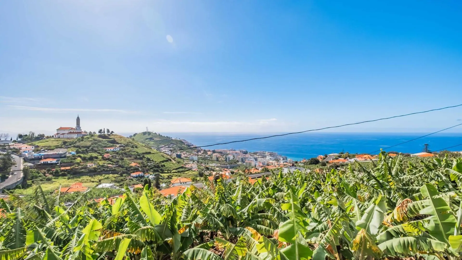 Biofuncho Garden Residence Funchal  Funchal (Madeira)