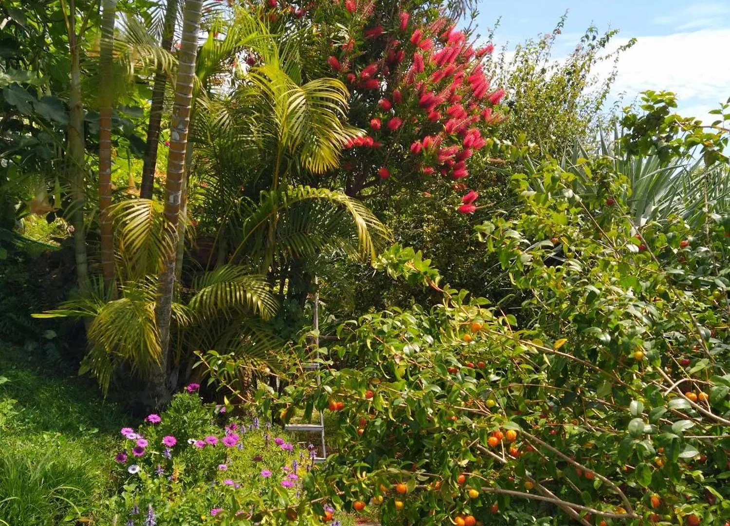 Apartment Biofuncho Garden Residence Funchal