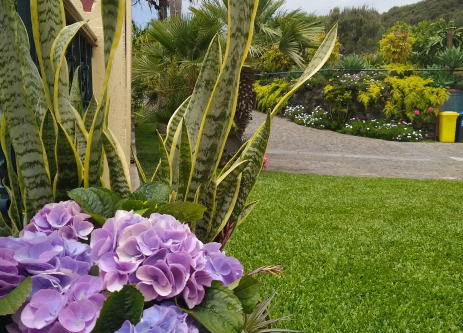 Biofuncho Garden Residence Funchal