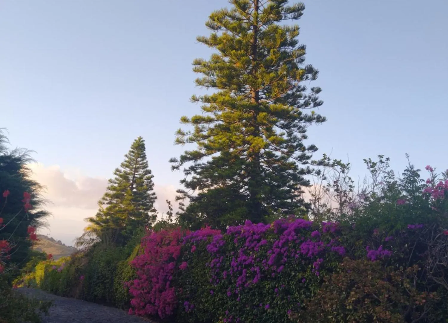 Biofuncho Garden Residence Funchal  Apartamento Funchal (Madeira)