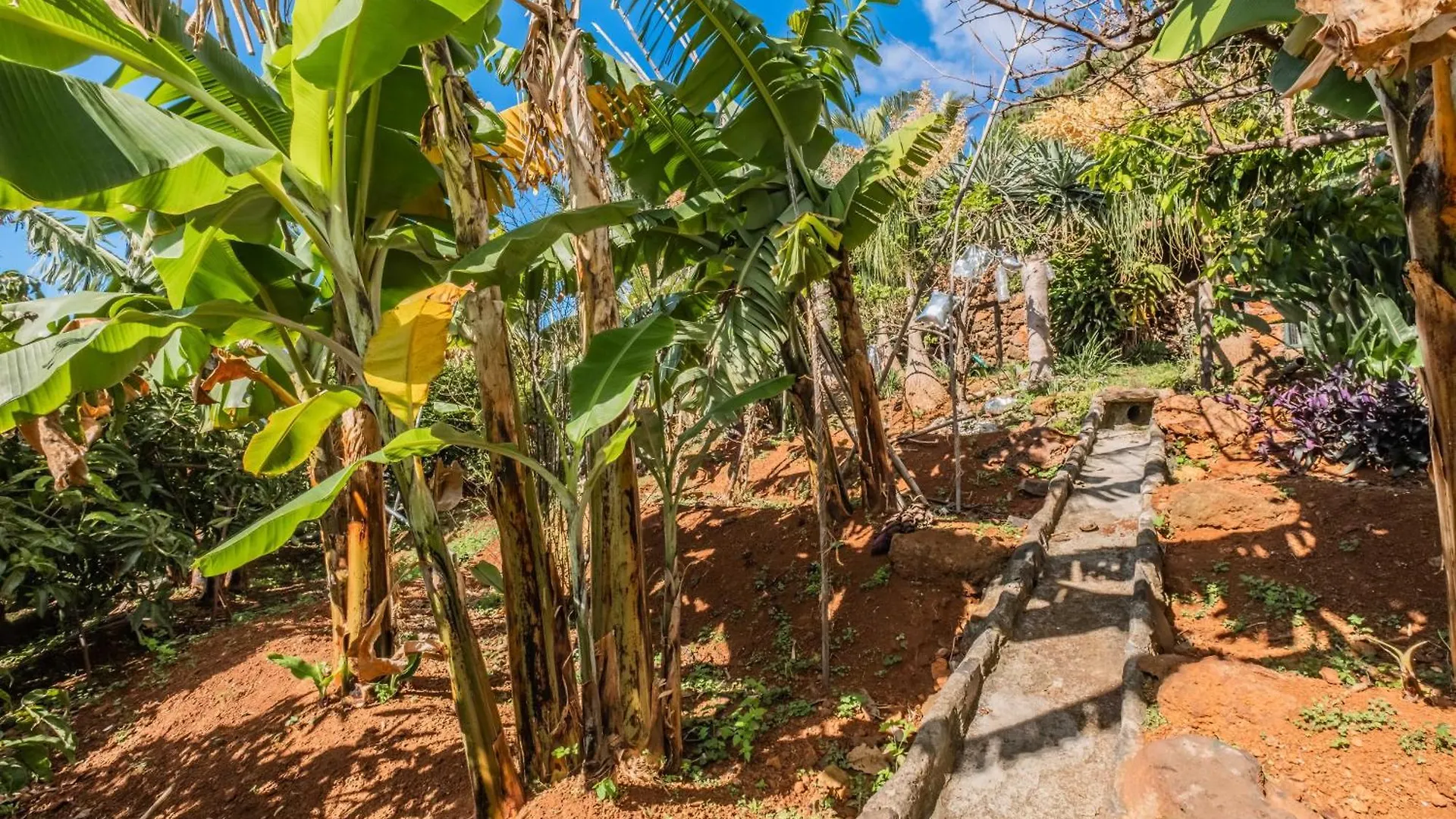 Biofuncho Garden Residence Funchal