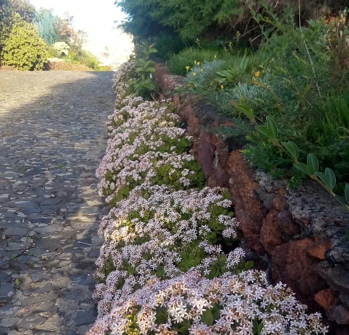 Biofuncho Garden Residence Funchal